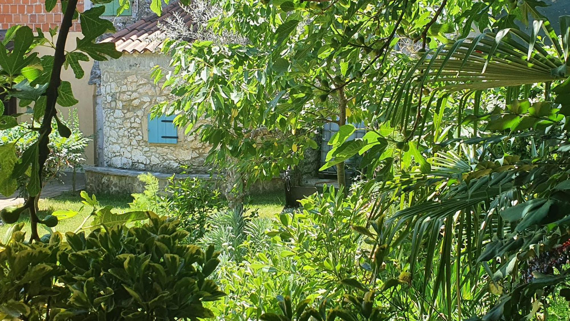 Villa Kazun With Private Pool And Two Gardens Marčana Extérieur photo